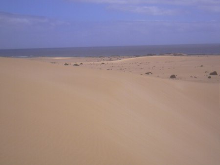 Dunas
