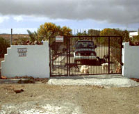 Tierschutzverein Finca Lobo